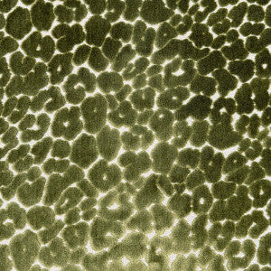 Landon Olive by Magnolia Fabric