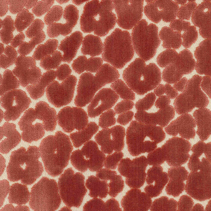 Landon Salmon by Magnolia Fabric - 60Ray/40Poly Indonesia 37000 Horizontal: 14 and Vertical: 14 56" - Fabric Carolina -
