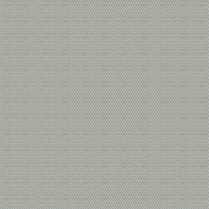 LATERAL 63J8001 by JF Fabric Color Concepts Silver Sage 75% Polyester, 25% Cotton India Horizontal: 13.625 and Vertical: 1 56 - Fabric Carolina -