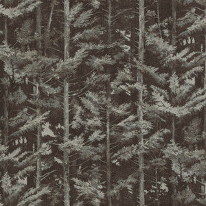 Latvia 1 Truffle by Marcus William Fabric