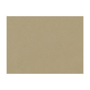 La Mesa Tungsten by Kravet Contract Fabric