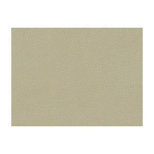 La Mesa Mica by Kravet Contract Fabric