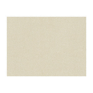 La Mesa Fossil by Kravet Contract Fabric