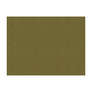La Mesa Tortoise by Kravet Contract Fabric