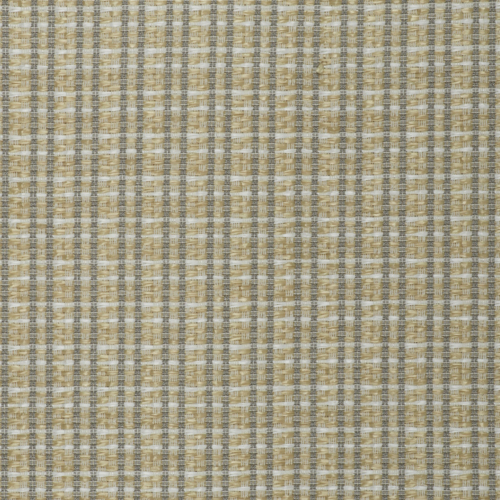 Mauregato Crudo by Gaston Y Daniela Designer Fabric LORENZO CASTILLO V COTTON - 54%;POLYAMIDE - 28%;POLYESTER - 18% Italy HEAVY Horizontal: 1.18 and Vertical: 1.18 54.33 - Swanky Fabrics -