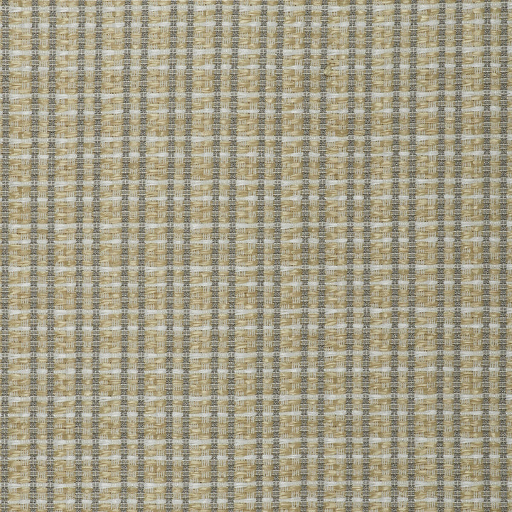 Mauregato Crudo by Gaston Y Daniela Designer Fabric LORENZO CASTILLO V COTTON - 54%;POLYAMIDE - 28%;POLYESTER - 18% Italy HEAVY Horizontal: 1.18 and Vertical: 1.18 54.33 - Swanky Fabrics -