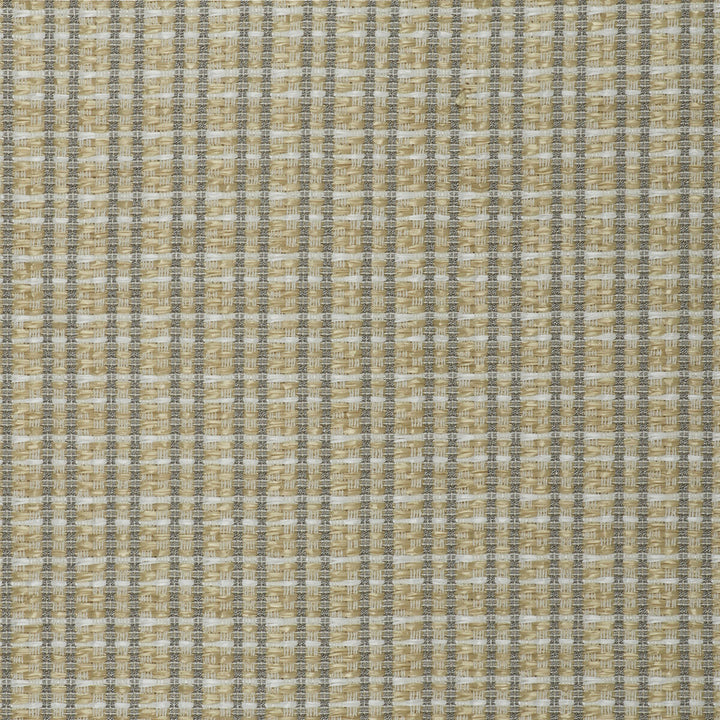 Mauregato Crudo by Gaston Y Daniela Fabric LORENZO CASTILLO V COTTON - 54%;POLYAMIDE - 28%;POLYESTER - 18% Italy HEAVY Horizontal: 1.18 and Vertical: 1.18 54.33 - Fabric Carolina -