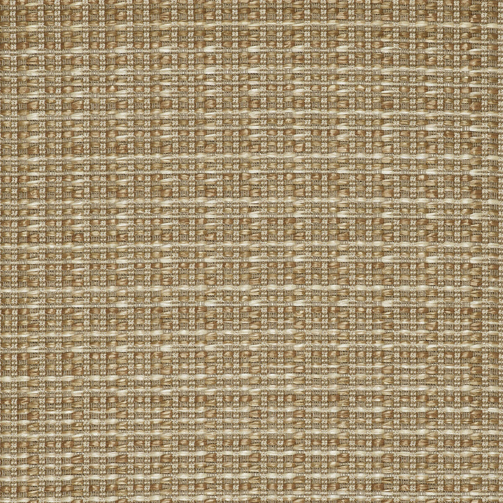 Mauregato Paja by Gaston Y Daniela Fabric LORENZO CASTILLO V COTTON - 54%;POLYAMIDE - 28%;POLYESTER - 18% Italy HEAVY Horizontal: 1.18 and Vertical: 1.18 54.33 - Fabric Carolina -