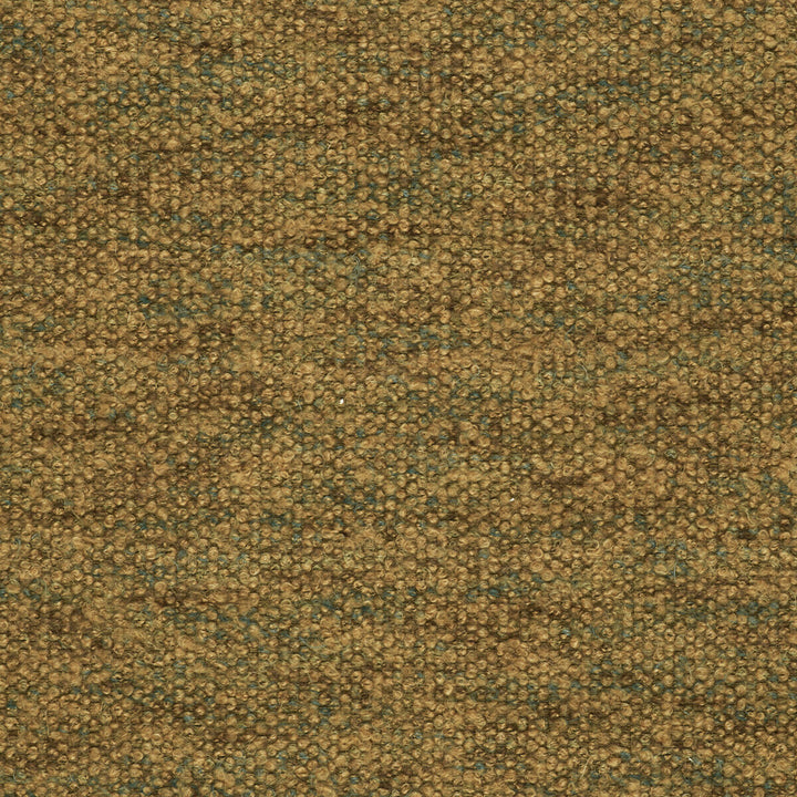 Favila Camel by Gaston Y Daniela Fabric LORENZO CASTILLO V POLYESTER - 29%;COTTON - 23%;ACRYLIC - 16%;VISCOSE - 13%;POLYAMIDE - 12%;WOOL - 7% Italy HEAVY Horizontal: 0 and Vertical: 0 56 - Fabric Carolina -