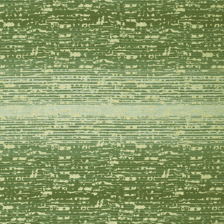 Damirchik Verde Claro by Gaston Y Daniela Fabric LORENZO CASTILLO V VISCOSE - 67%;COTTON - 17%;LINEN - 10%;POLYESTER - 6% Turkey MEDIUM Horizontal: 12.52 and Vertical: 16.73 55.11 - Fabric Carolina -