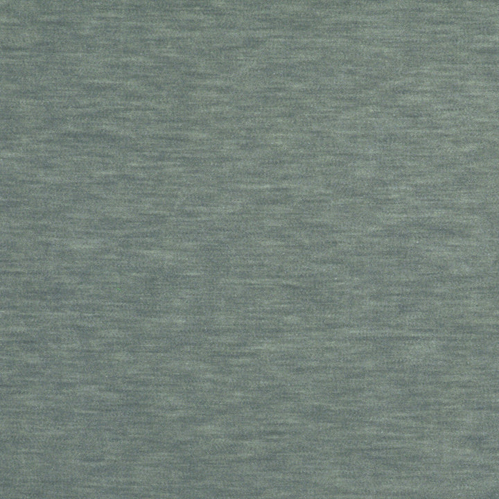 Meres Gris Azulado by Gaston Y Daniela Designer Fabric LORENZO CASTILLO V TREVIRA - 100% Italy HEAVY Horizontal: 0 and Vertical: 0 55.1 - Swanky Fabrics -