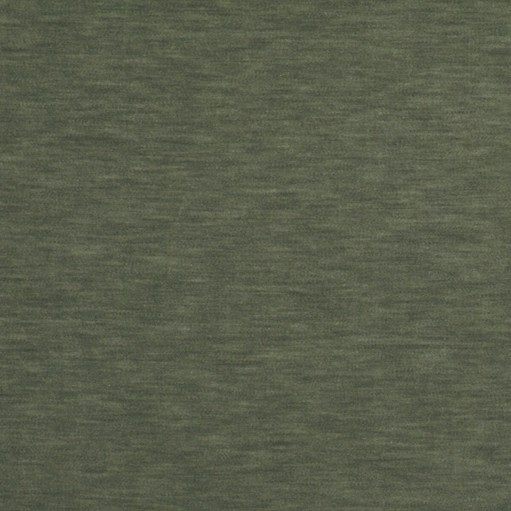 Meres Gris Esmeralda by Gaston Y Daniela Fabric LORENZO CASTILLO V TREVIRA - 100% Italy HEAVY Horizontal: 0 and Vertical: 0 55.1 - Fabric Carolina -