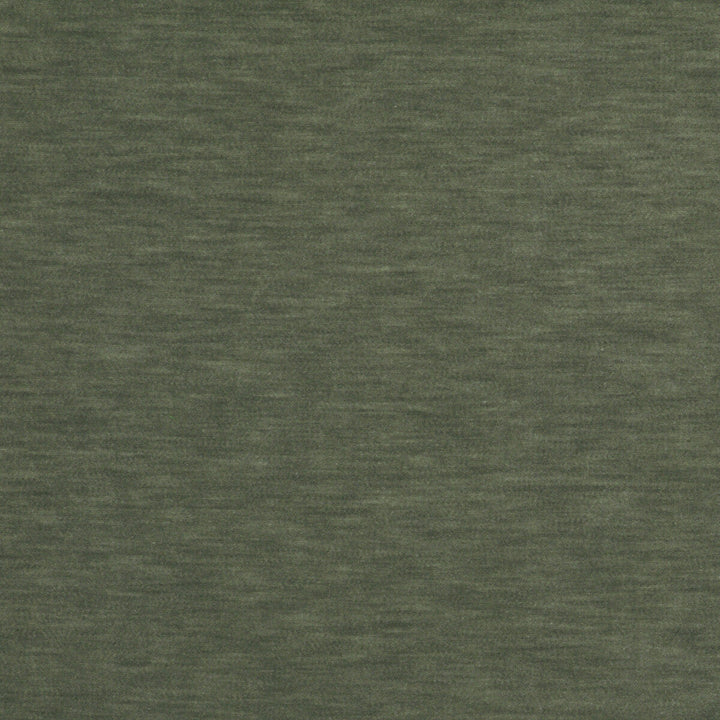 Meres Gris Esmeralda by Gaston Y Daniela Designer Fabric LORENZO CASTILLO V TREVIRA - 100% Italy HEAVY Horizontal: 0 and Vertical: 0 55.1 - Swanky Fabrics -