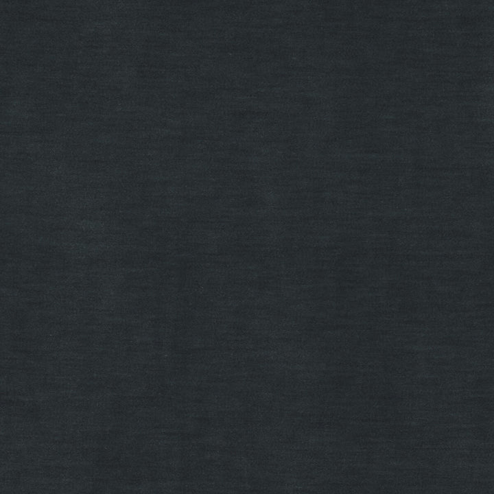 Meres Plomo by Gaston Y Daniela Fabric LORENZO CASTILLO V TREVIRA - 100% Italy HEAVY Horizontal: 0 and Vertical: 0 55.1 - Fabric Carolina -