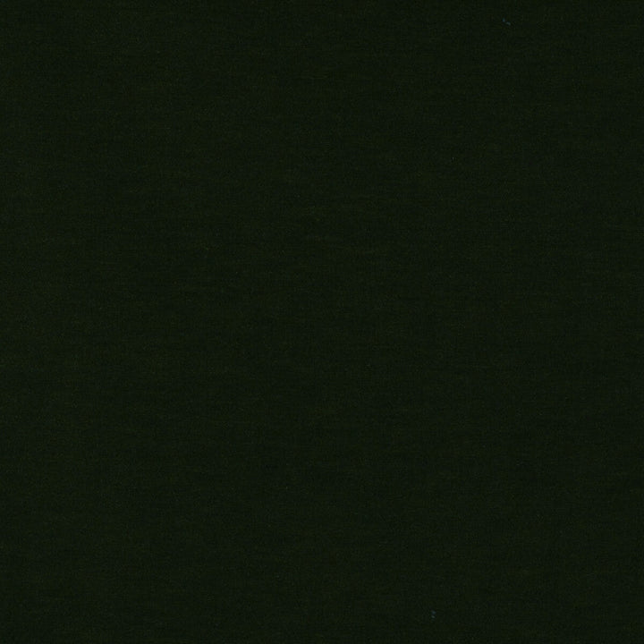Meres Verde Botella by Gaston Y Daniela Fabric Gaston Y Daniela Fabric Meres Verde BotellaFabric LORENZO CASTILLO V TREVIRA - 100% Italy </p><p>Repeat: H: 0, V: 0 55.1 - Fabric Carolina -