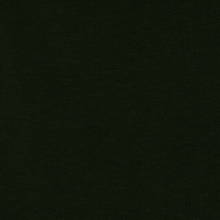 Meres Verde Botella by Gaston Y Daniela Fabric LORENZO CASTILLO V TREVIRA - 100% Italy HEAVY Horizontal: 0 and Vertical: 0 55.1 - Fabric Carolina -