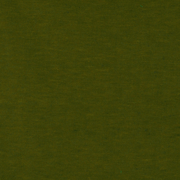 Meres Verde Claro by Gaston Y Daniela Fabric Gaston Y Daniela Fabric Meres Verde ClaroFabric LORENZO CASTILLO V TREVIRA - 100% Italy </p><p>Repeat: H: 0, V: 0 55.1 - Fabric Carolina -
