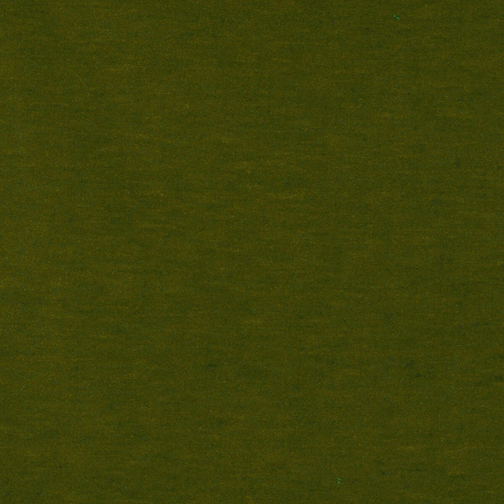 Meres Verde Claro by Gaston Y Daniela Fabric Gaston Y Daniela Fabric Meres Verde ClaroFabric LORENZO CASTILLO V TREVIRA - 100% Italy </p><p>Repeat: H: 0, V: 0 55.1 - Fabric Carolina -