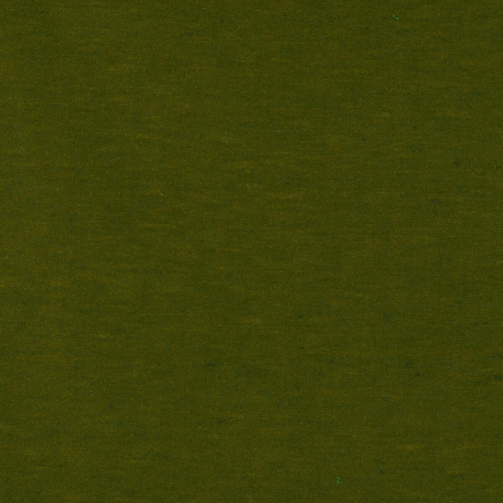 Meres Verde Claro by Gaston Y Daniela Fabric LORENZO CASTILLO V TREVIRA - 100% Italy HEAVY Horizontal: 0 and Vertical: 0 55.1 - Fabric Carolina -