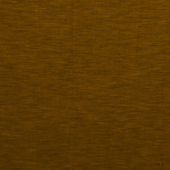Meres Mostaza by Gaston Y Daniela Fabric LORENZO CASTILLO V TREVIRA - 100% Italy HEAVY Horizontal: 0 and Vertical: 0 55.1 - Fabric Carolina -