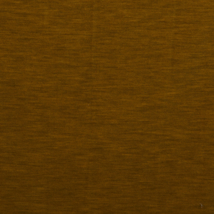 Meres Mostaza by Gaston Y Daniela Designer Fabric LORENZO CASTILLO V TREVIRA - 100% Italy HEAVY Horizontal: 0 and Vertical: 0 55.1 - Swanky Fabrics -