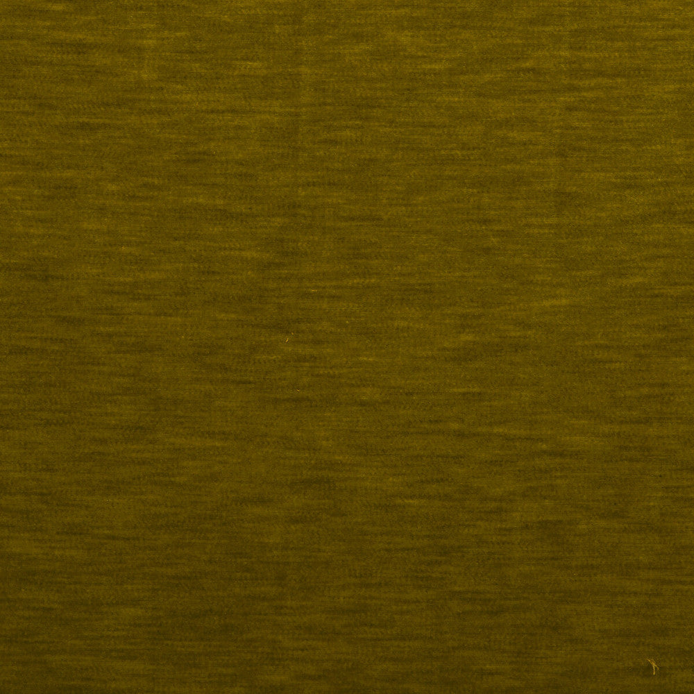 Meres Aceite by Gaston Y Daniela Fabric LORENZO CASTILLO V TREVIRA - 100% Italy HEAVY Horizontal: 0 and Vertical: 0 55.1 - Fabric Carolina -
