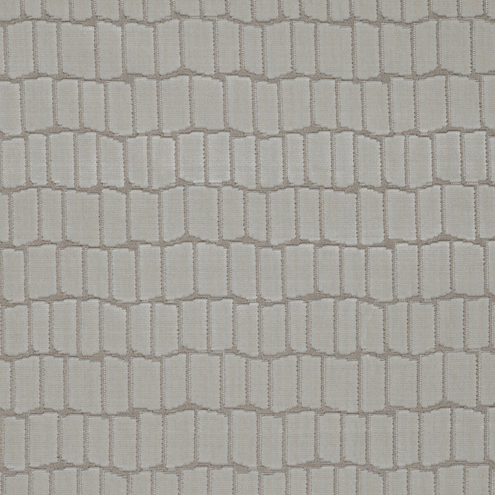 Maximo Blanco by Gaston Y Daniela Designer Fabric LORENZO CASTILLO V VISCOSE - 75%;POLYESTER - 25% Belgium HEAVY Horizontal: 6.89 and Vertical: 4.84 54.33 - Swanky Fabrics -
