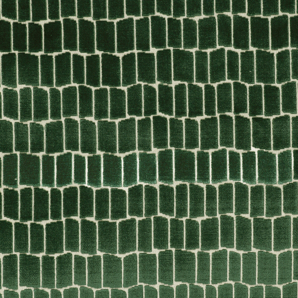 Maximo Verde by Gaston Y Daniela Fabric LORENZO CASTILLO V VISCOSE - 75%;POLYESTER - 25% Belgium HEAVY Horizontal: 6.89 and Vertical: 4.84 54.33 - Fabric Carolina -