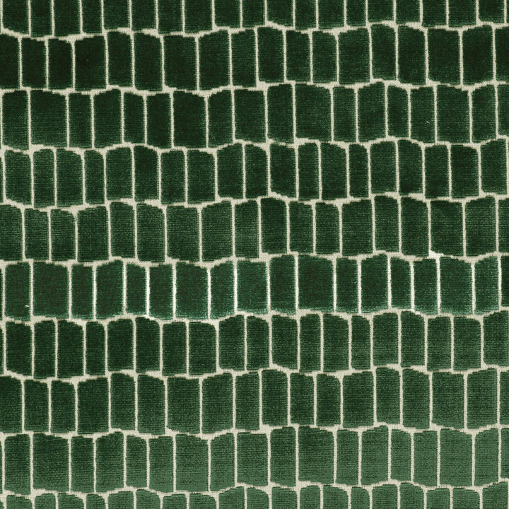 Maximo Verde by Gaston Y Daniela Fabric LORENZO CASTILLO V VISCOSE - 75%;POLYESTER - 25% Belgium HEAVY Horizontal: 6.89 and Vertical: 4.84 54.33 - Fabric Carolina -