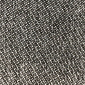 Max Gris by Gaston Y Daniela Fabric
