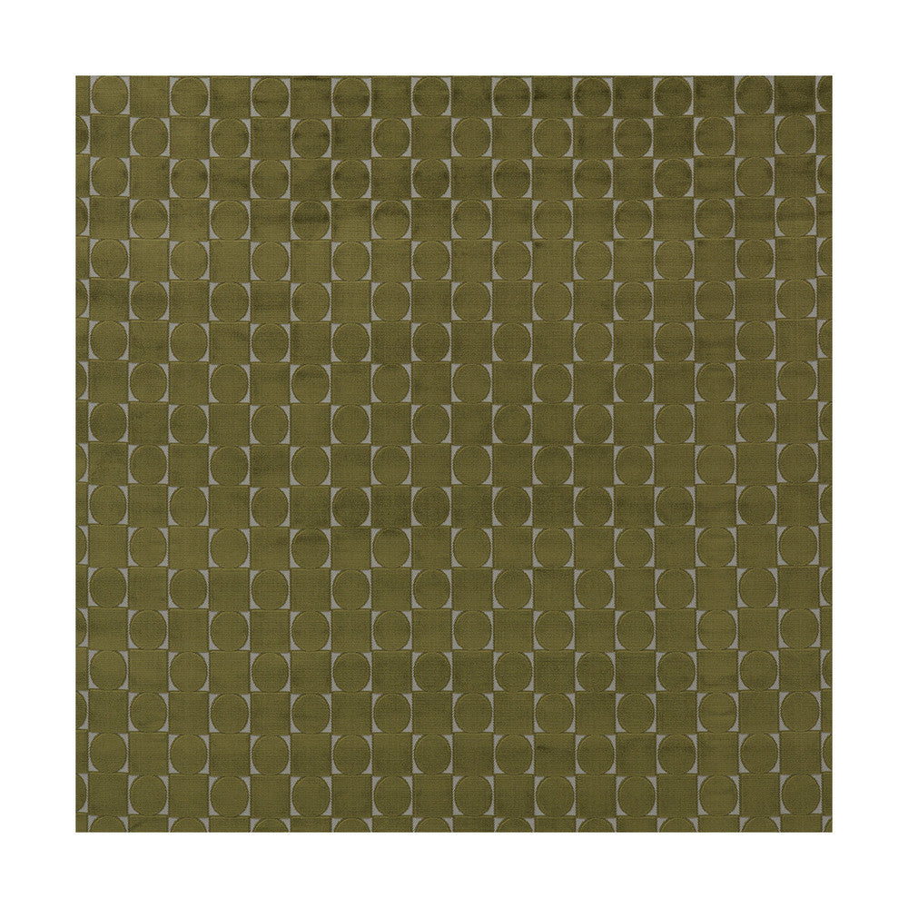 Luigi Verde by Gaston Y Daniela Fabric LORENZO CASTILLO III VISCOSE - 52%;POLYESTER - 48% Belgium HEAVY Horizontal: 4.5 and Vertical: 4.5 55 - Fabric Carolina -