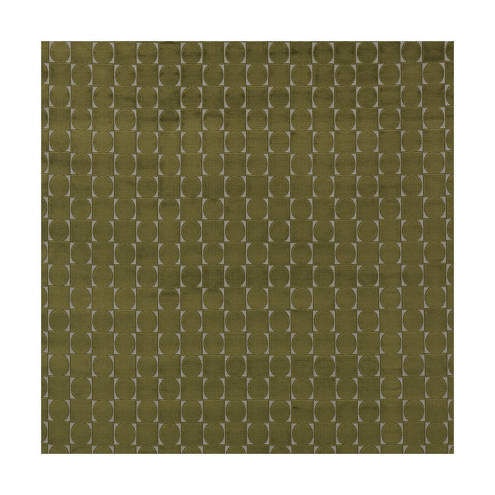 Luigi Verde by Gaston Y Daniela Fabric LORENZO CASTILLO III VISCOSE - 52%;POLYESTER - 48% Belgium HEAVY Horizontal: 4.5 and Vertical: 4.5 55 - Fabric Carolina -