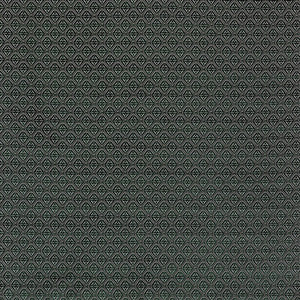 Calabrez Verde LCT5358A.003.0 by Gaston Y Daniela Fabric