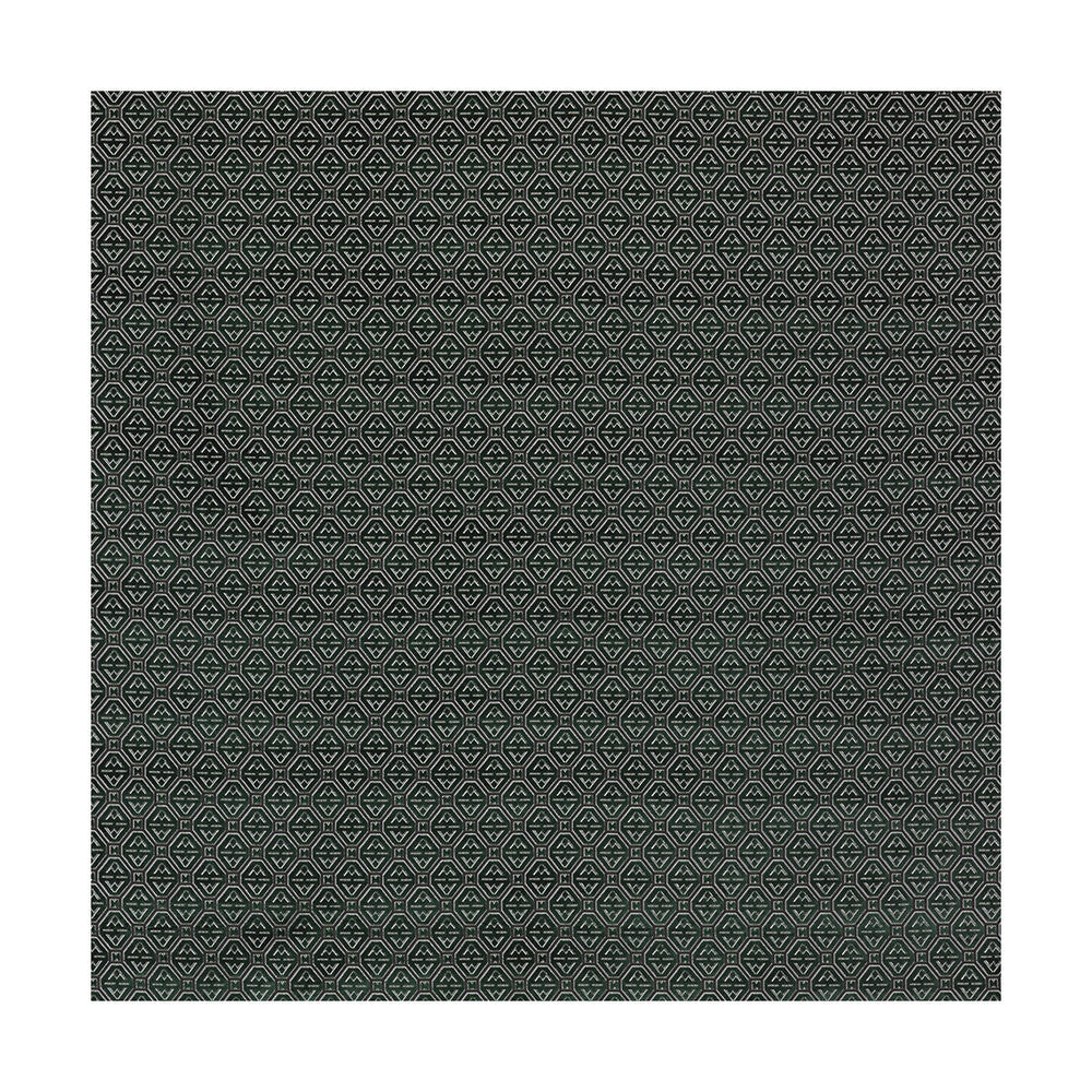 Calabrez Verde by Gaston Y Daniela Fabric LORENZO CASTILLO III VISCOSE - 67%;POLYESTER - 33% Belgium HEAVY Horizontal: 2.75 and Vertical: 3 55 - Fabric Carolina -
