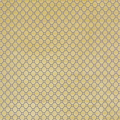 LCT5358.006.0 by Gaston Y Daniela Fabric Gaston Y Daniela Fabric LCT5358.006.0Fabric LORENZO CASTILLO III VISCOSE - 67%;POLYESTER - 33% Belgium </p><p>Repeat: H: 2.75, V: 3 55 - Fabric Carolina -