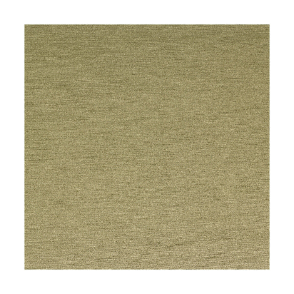 Santianes Musgo by Gaston Y Daniela Designer Fabric LORENZO CASTILLO III COTTON - 50%;VISCOSE - 50% Turkey HEAVY Horizontal: 0 and Vertical: 0 55 - Swanky Fabrics -