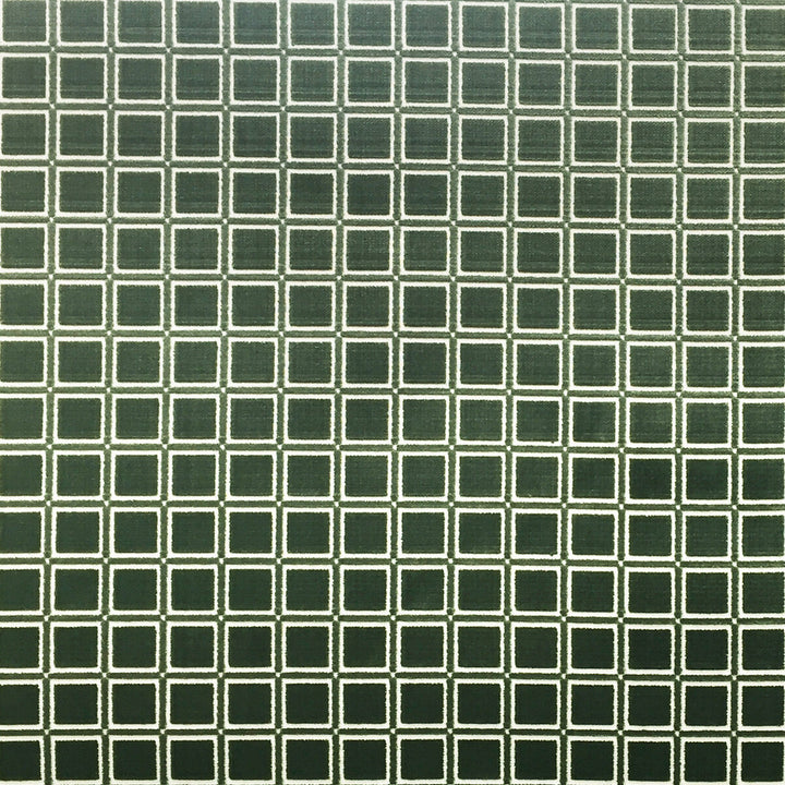 Buitrago Verde by Gaston Y Daniela Fabric LORENZO CASTILLO IV VISCOSE - 92%;POLYESTER - 8% Belgium HEAVY Horizontal: 1.38 and Vertical: 1.38 54 - Fabric Carolina -