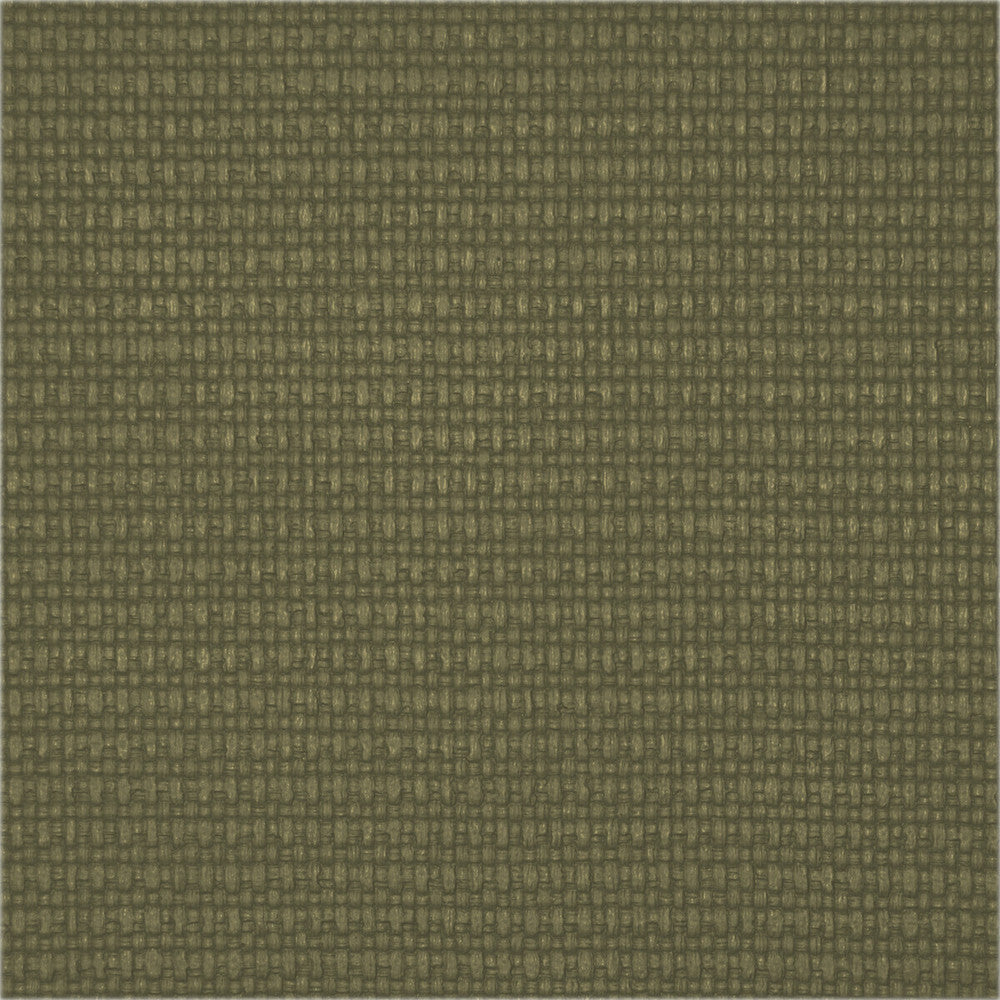 Valsain Kaki by Gaston Y Daniela Fabric LORENZO CASTILLO IV PVC - ARTIFICIAL LEATHER - 88%;POLYCOTTON - 12% Spain HEAVY Horizontal: and Vertical: 54 - Fabric Carolina -