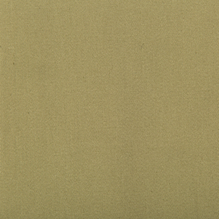 Manzanares Kaki by Gaston Y Daniela Fabric LORENZO CASTILLO IV COTTON - 100% India HEAVY Horizontal: - and Vertical: - 55 - Fabric Carolina -
