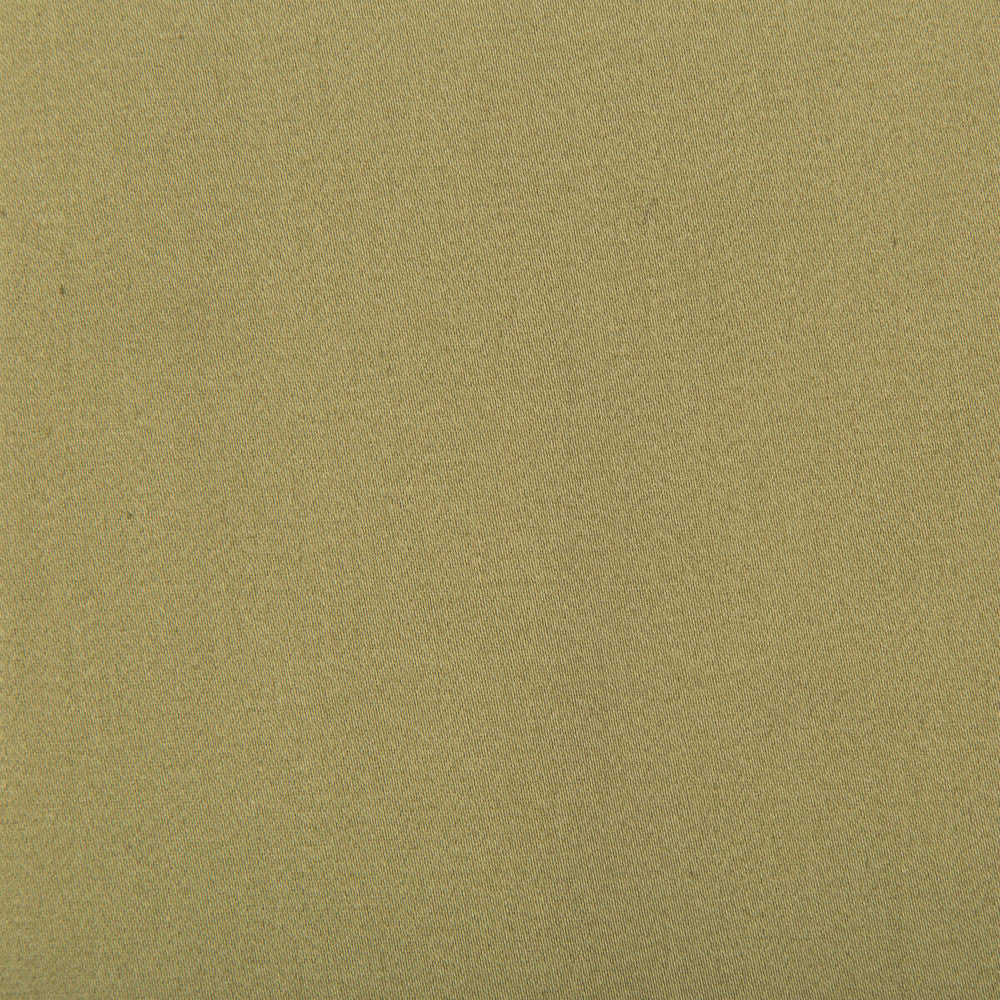 Manzanares Kaki by Gaston Y Daniela Fabric LORENZO CASTILLO IV COTTON - 100% India HEAVY Horizontal: - and Vertical: - 55 - Fabric Carolina -