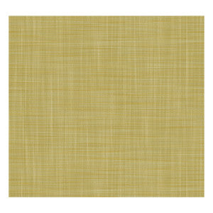 Mahon Lima by Gaston Y Daniela Wallcovering