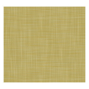 Mahon Lima by Gaston Y Daniela Wallcovering