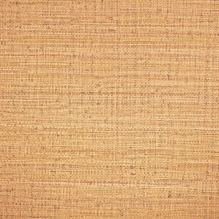 Ayllon Paja by Gaston Y Daniela Designer Wallcovering LORENZO CASTILLO IV PVC COMPOUND - 100% Italy - Horizontal: - and Vertical: 25.22 51 - Swanky Fabrics -