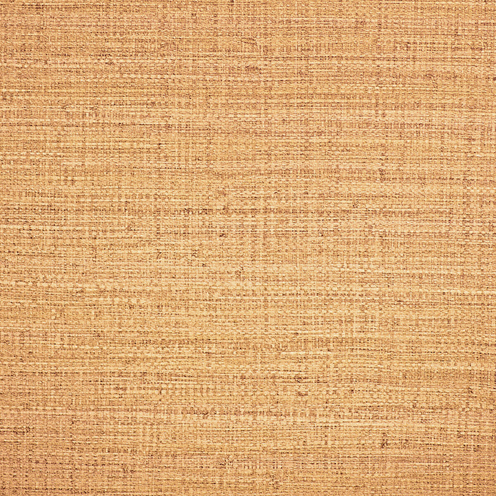 Ayllon Paja by Gaston Y Daniela Wallcovering Gaston Y Daniela Wallcovering Ayllon PajaWallcovering LORENZO CASTILLO IV PVC COMPOUND - 100% Italy </p><p>Repeat: H: , V: 25.22 51 - Fabric Carolina -