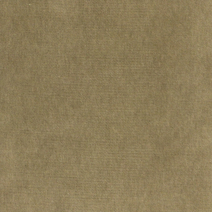 Leebrook 3 Olive by Stout Fabric Stout Fabric Leebrook 3 OliveFabric COMFORTABLE LIVING SPRING/MOSS 80%POL 20%COT CHINA </p><p>Repeat: H: 0.000, V: 0.000 54 in - Fabric Carolina -