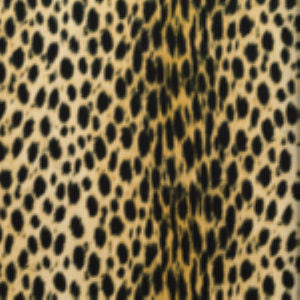 Leech Sand 02 by Norbar Fabric EXOTIC 95% POLYESTER / 5% COTTON SPAIN 13 1/2"V - 25"H 55 - Fabric Carolina -