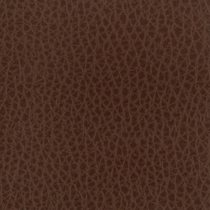 Leeds 1 Chocolate by Stout Fabric LEATHER LOOKS II 100%OTH 9%OTH CHINA FLAME RETARDANT-U.F.A.C. CLASS 1 FLAME RETARDANT-N.F.P.A. 260A CLASS 1 CATB 117-2013 WYZENBEEK 100 000 DOUBLE RUB WEAR TEST (HEAVY DUTY) Horizontal: 0 and Vertical: 0 54 in - Fabric Carolina -