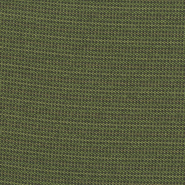 Legacy 702 Jungle by Crypton Fabric 100% Polyester China 81,000 Double Rubs (Wyzenbeek) </p><p>Repeat: Horizontal: 0.8" (2.0 cm) Up the Roll and Vertical: 0.2" (0.5 cm) Across the Roll 56" (142 cm) - Fabric Carolina -