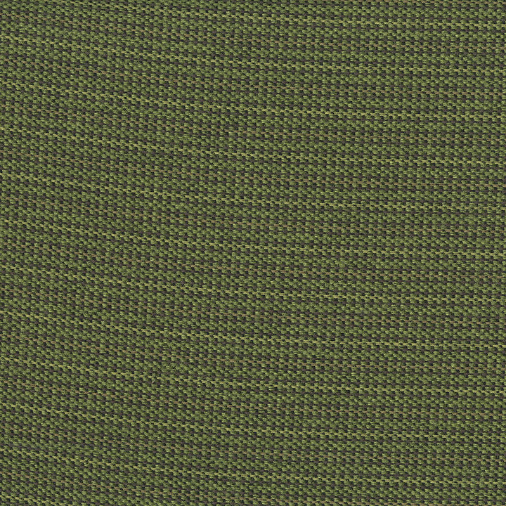 Legacy 702 Jungle by Crypton Designer Fabric N/A 100% Polyester China 81,000 Double Rubs </p><p>Repeat: Horizontal: 0.2" (0.5 cm) Across the Roll and Vertical: 0.8" (2.0 cm) Up the Roll 56" (142 cm) - Swanky Fabrics -