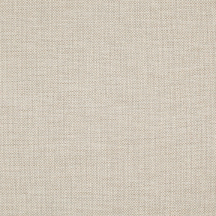 Legal 31J8321 by JF Fabric Justice Fibrguard 100% Polyester Turkey 200000 Horizontal: and Vertical: 55 - Fabric Carolina -